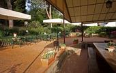 Туры в отель Hotel Tenuta Il Burchio