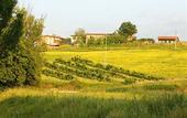 Туры в отель Hotel Tenuta Il Burchio