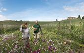 Туры в отель Borgo Pignano Volterra Tuscany