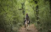 Туры в отель Borgo Pignano Volterra Tuscany