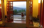 Туры в отель Hotel Rifugio Prategiano