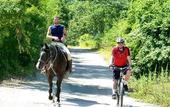 Туры в отель Hotel Rifugio Prategiano
