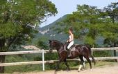 Туры в отель Hotel Rifugio Prategiano