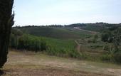 Туры в отель Agriturismo Musignano