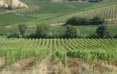 Туры в отель Agriturismo Musignano