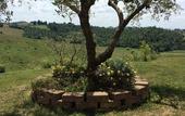 Туры в отель Agriturismo Musignano