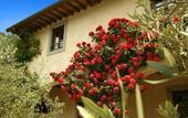 Туры в отель Monsignor della Casa Country Resort & Spa