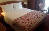 Туры в отель Hotel Piero della Francesca
