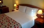 Туры в отель Hotel Piero della Francesca