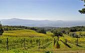 Туры в отель Valdonica Winery & Vineyard Residence
