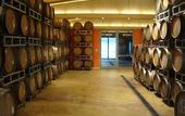 Туры в отель Valdonica Winery & Vineyard Residence
