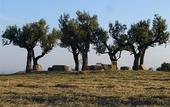 Туры в отель Valdonica Winery & Vineyard Residence