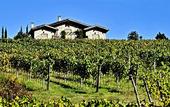 Туры в отель Valdonica Winery & Vineyard Residence