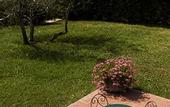 Туры в отель Agriturismo Antico Borgo Poggitazzi