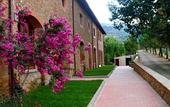 Туры в отель Agriturismo Antico Borgo Poggitazzi