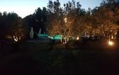 Туры в отель Agriturismo Antico Borgo Poggitazzi