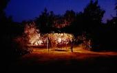 Туры в отель Agriturismo Antico Borgo Poggitazzi