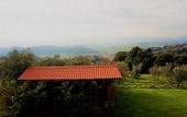 Туры в отель Agriturismo Antico Borgo Poggitazzi