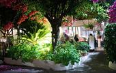 Туры в отель Hotel Residence Nemo