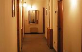 Туры в отель Hotel Colibri