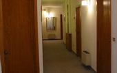 Туры в отель Hotel Colibri
