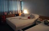 Туры в отель Hotel Valpolicella International