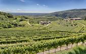 Туры в отель Hotel Valpolicella International
