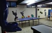 Туры в отель Hotel Valpolicella International