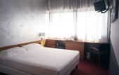 Туры в отель Hotel Valpolicella International