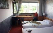 Туры в отель Hotel Valpolicella International