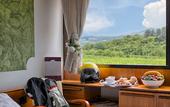 Туры в отель Hotel Valpolicella International