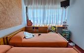 Туры в отель Hotel Valpolicella International