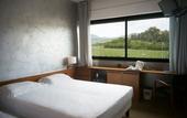 Туры в отель Hotel Valpolicella International