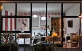 Туры в отель Hotel Valpolicella International