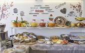 Туры в отель Hotel Valpolicella International