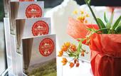 Туры в отель Hotel Valpolicella International