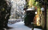 Туры в отель Hotel Villa Luppis