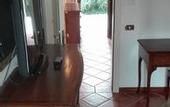 Туры в отель Hotel Villa Luppis
