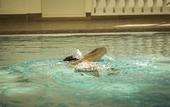 Туры в отель Hotel Terme Leonardo