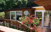 Туры в отель Agave Hotel