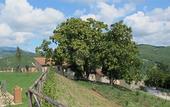 Туры в отель BORGO DI GALLANO