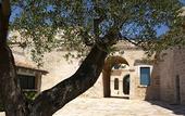 Туры в отель Relais Histo San Pietro sul Mar Piccolo