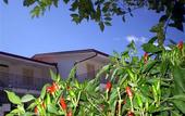 Туры в отель Medimare Residence Club