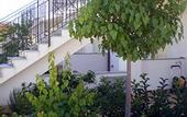 Туры в отель Medimare Residence Club