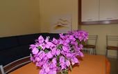 Туры в отель Medimare Residence Club