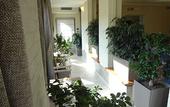 Туры в отель Green Class Hotel Candiolo
