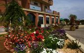 Туры в отель Green Class Hotel Candiolo