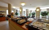 Туры в отель Green Class Hotel Candiolo