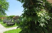 Туры в отель Relais Palazzo Paleologi - Secolo XIV