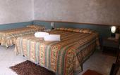 Туры в отель Hotel Piccolo Allamano